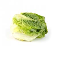 کاهو لیتل سبز