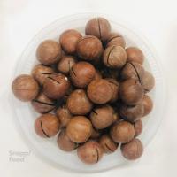 فندق ماکادمیا 1 کیلوگرم