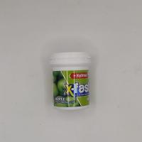 آدامس بدون قند ایکس فست سیب سبز قوطی