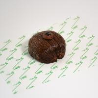 پن بلک فارست