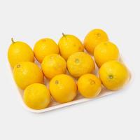 لیمو ترش سنگی جنوب