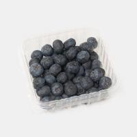 بلوبری آمریکایی