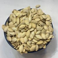 تخمه کدو خام