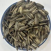 تخمه دور سفید خام