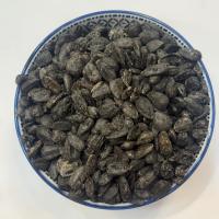 تخمه روغنی افتابی