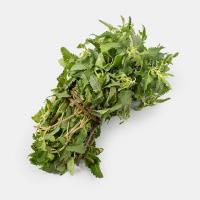 سبزی بادرنجبویه