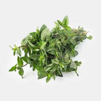 سبزی نعنا فلفلی