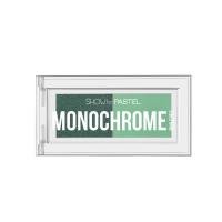 پالت سایه چشم پاستل مدل monochrome شماره 31