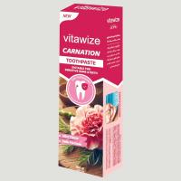 خمیر دندان ویتاوایز مدل میخک