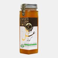عسل کرمانشاه ۵۰۰ گرم