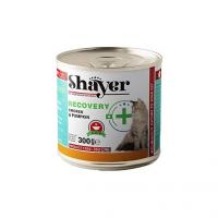 کنسرو شایر ریکاوری گربه طعم مرغ و کدو حلوایی