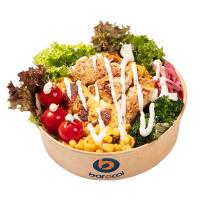 سالاد چیکن میکس رژیمی