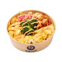 سالاد چیکن دونر رژیمی