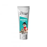 خمیر مینرال مخصوص گربه پرسا 100 گرم