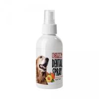 اسپری نانو دنتال با رایحه هلو رد اسپرینگ۶۰ میلی لیتر