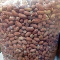 بادام زمینی تازه بوداده