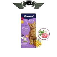 بستنی گربه وینستون با طعم گوشت گاو و پنیر