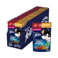پوچ گربه فلیکس felix با طعم گوشت گاو و پرندگان در ژله وزن 75 گرم