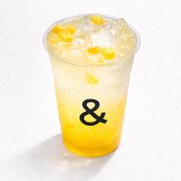 رفرشر آناناس و پشن فروت