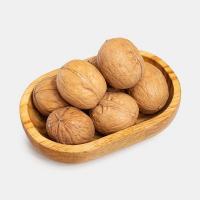 گردو پوست کاغذی