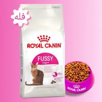 غذا خشک گربه بد اشتها رویال کنین اگزیجنت (فله)