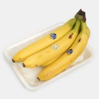 موز اکوادور