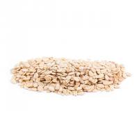 مغز تخمه محبوبی برشته نمکی