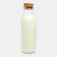 شیر سنتی