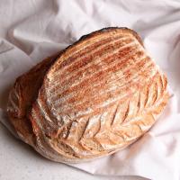 لوف خمیر ترش زیتون