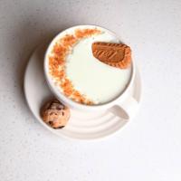 شیر بیسکویت