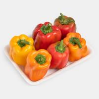 فلفل دلمه ای رنگی گلخانه ای