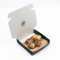 سیر سیاه