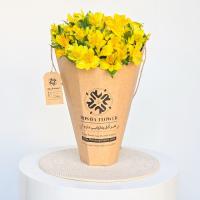 گل شاخه ای آلستر لیمویی