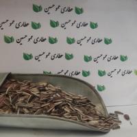 تخمه آفتابگردان