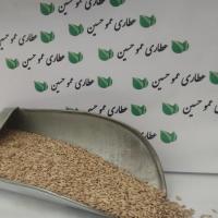 تخم کتان پرنده