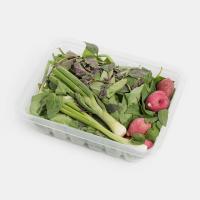 سبزی خوردن شمال