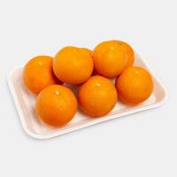 پرتقال شمال آبگیری