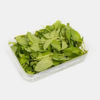 برگ نعنا موهیتو