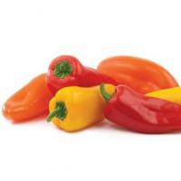 فلفل کاپی رنگی 