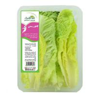 کاهو شسته شده