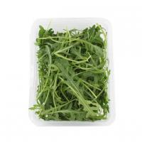 سبزی روکولا 