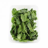 بیبی اسفناج 