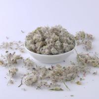 چای کوهی