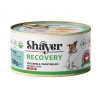 کنسرو سگ شایر مدل ریکاوری
