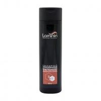 شامپو نرم کننده و کراتینه 2در1 2 in 1 Shampoo Laminin