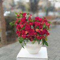 جام گل صبا