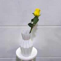 رز هلندی زرد