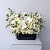 باکس گل ویدا
