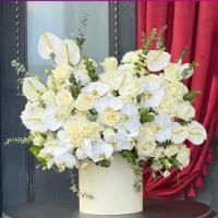 باکس گل ملکه سپید