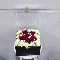باکس سوپرایزی مژان